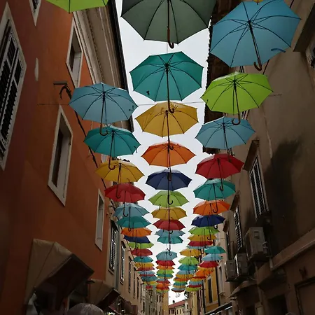 Dario * Novigrad Istria