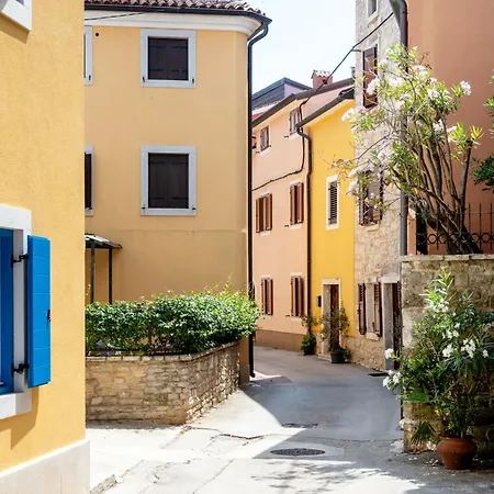 Dario * Novigrad Istria